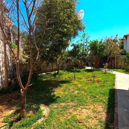 Private فيلة